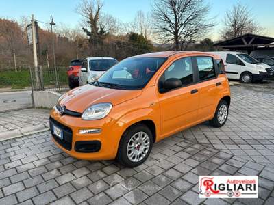 Fiat Panda Pop - Solo 74.000 km! Arancione usata Teano