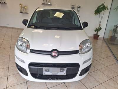 Fiat Panda GSE S&S Hybrid Pop Van 2 posti Bianco usata Castel Gandolfo