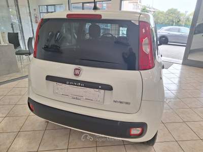 Fiat Panda GSE S&S Hybrid Pop Van 2 posti Bianco usata Castel Gandolfo