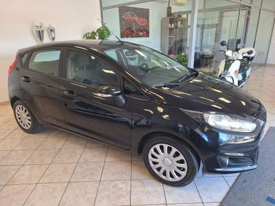 Ford Fiesta 5 porte Nero usata Castel Gandolfo