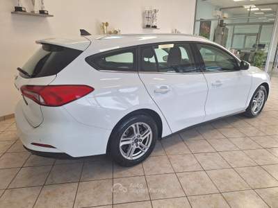 Ford Focus EcoBlue 95 CV SW Business Bianco usata Castel Gandolfo