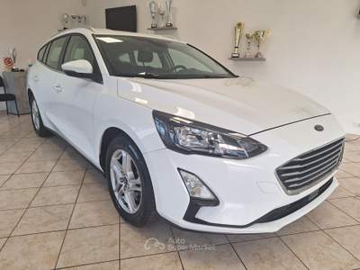 Ford Focus EcoBlue 95 CV SW Business Bianco usata Castel Gandolfo