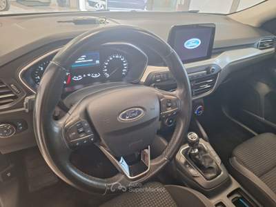 Ford Focus EcoBlue 95 CV SW Business Bianco usata Castel Gandolfo