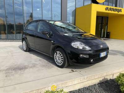 Fiat Punto 1.2 8V 5 porte Street Nero usata Pieve di Cento