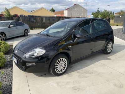 Fiat Punto 1.2 8V 5 porte Street Nero usata Pieve di Cento