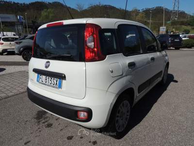 Fiat Panda Panda 1.2 Easy 69cv E6 GPL Bianco usata Brugnato