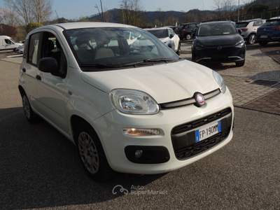 Fiat Panda Panda 1.3 mjt 16v Easy s&s Bianco usata Brugnato