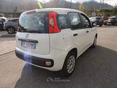 Fiat Panda Panda 1.3 mjt 16v Easy s&s Bianco usata Brugnato