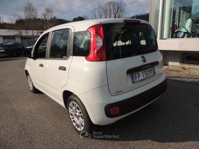 Fiat Panda Panda 1.3 mjt 16v Easy s&s Bianco usata Brugnato