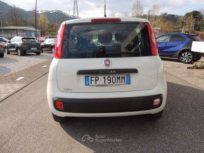 Fiat Panda Panda 1.3 mjt 16v Easy s&s Bianco usata Brugnato