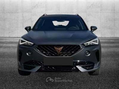 Cupra Formentor 2.0 TSI DSG VZ Grigio usata Pieve di Cento