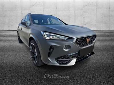 Cupra Formentor 2.0 TSI DSG VZ Grigio usata Pieve di Cento