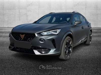 Cupra Formentor 2.0 TSI DSG VZ Grigio usata Pieve di Cento
