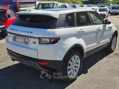 Land Rover Range Rover Evoque 2.0 TD4 150 CV 5p. Business Edition Bianco usata Giugliano in Campania