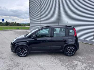 Fiat Panda 1.0 FireFly Hybrid City Life LEGGE 104 IVA ESPOSTA Nero usata Sant'Angelo in vado