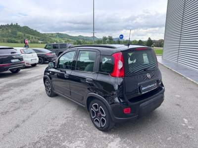 Fiat Panda 1.0 FireFly Hybrid City Life LEGGE 104 IVA ESPOSTA Nero usata Sant'Angelo in vado