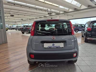 Fiat Panda 1.0 FireFly S&S Hybrid-5°POSTO-RADIO-RUOTINO Grigio usata Vignola