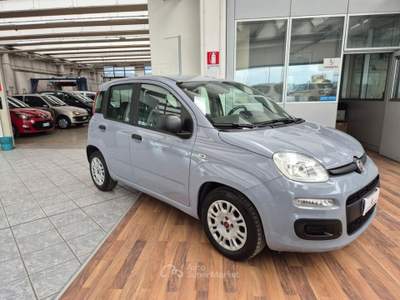 Fiat Panda 1.0 FireFly S&S Hybrid-5°POSTO-RADIO-RUOTINO Grigio usata Vignola