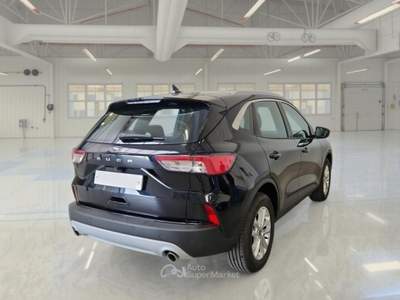 Ford Kuga FORD KUGA 1.5 ECOBLUE 120 CV 2WD TITANIUM BUS. AUTO SUV usata Casei Gerola