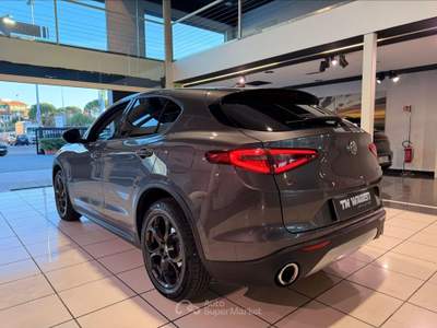 Alfa Romeo Stelvio  2.2 turbodiesel 190 cv at8 q4 4x4 2018 *tagliandi ufficiali* Grigio usata Firenze