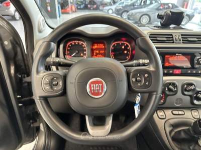 Fiat Panda 1.0 FireFly Hybrid City Life Grigio usata Moncalieri