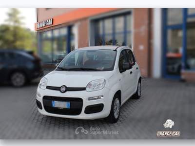 Fiat Panda Panda 1.2 Easy Bianco usata San Miniato