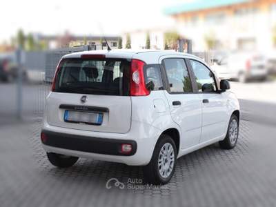 Fiat Panda Panda 1.2 Easy Bianco usata San Miniato
