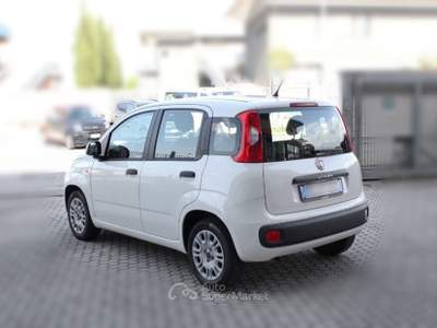 Fiat Panda Panda 1.2 Easy Bianco usata San Miniato