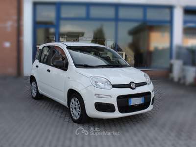 Fiat Panda Panda 1.2 Easy Bianco usata San Miniato
