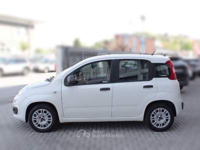 Fiat Panda Panda 1.2 Easy Bianco usata San Miniato