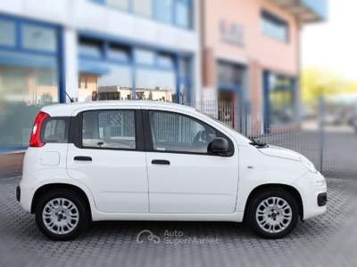 Fiat Panda Panda 1.2 Easy Bianco usata San Miniato