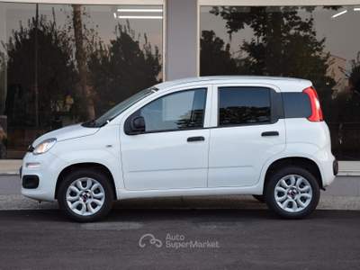 Fiat Panda Turbo Natural Power Pop Van usata Paese