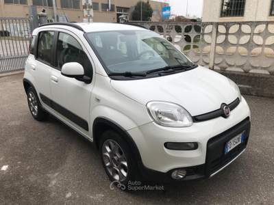 Fiat Panda Turbo S&S 4x4 usata Pianezza