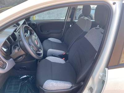 Fiat Panda FireFly S&S Hybrid City Life ** N usata Brusnengo