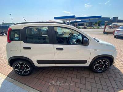 Fiat Panda FireFly S&S Hybrid City Life ** N usata Brusnengo