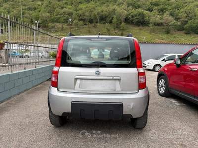 Fiat Panda 1.2 4x4 Climbing Benzina usata Prevalle