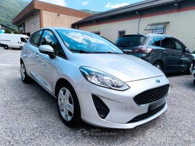 Ford Fiesta 5 porte ST-Line usata Omegna