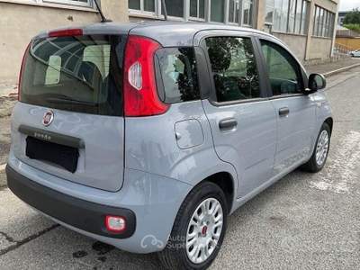 Fiat Panda FireFly S&S Hybrid Easy usata Rivoli