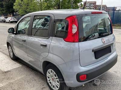 Fiat Panda FireFly S&S Hybrid Easy usata Rivoli