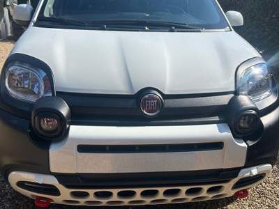 Fiat Panda FireFly S&S Hybrid usata Rivoli Fiat Panda FireFly S&S Hybrid usata Rivoli