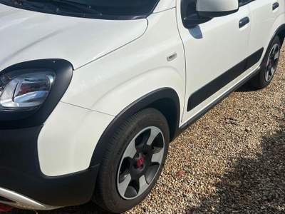 Fiat Panda FireFly S&S Hybrid usata Rivoli