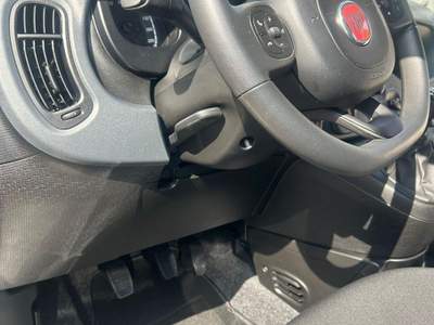 Fiat Panda FireFly S&S Hybrid usata Rivoli