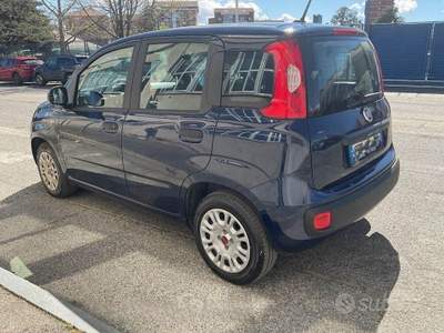 Fiat Panda Pop usata Rivoli