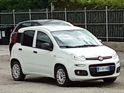 Fiat Panda Fiat Panda Bianco usata TAGLIO DI PO