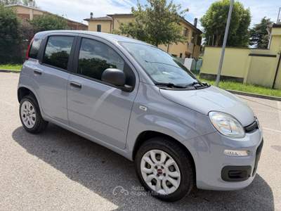 Fiat Panda Fiat Panda 0.9 METANO - NEOPATENTATI - 12 MESI DI GARANZIA - usata ARGELATO