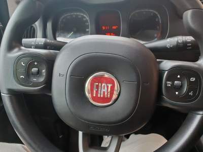 Fiat Panda 🚗 Fiat Panda 1.0 FireFly 70 CV Mild Hybrid Bianco usata Giuliano di Roma