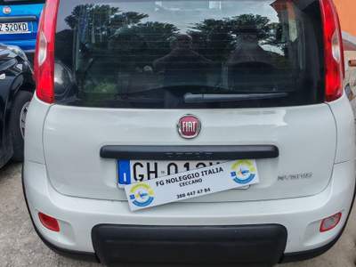 Fiat Panda 🚗 Fiat Panda 1.0 FireFly 70 CV Mild Hybrid Bianco usata Giuliano di Roma