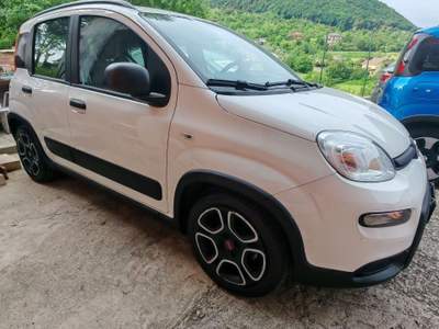 Fiat Panda 🚗 Fiat Panda 1.0 FireFly 70 CV Mild Hybrid Bianco usata Giuliano di Roma