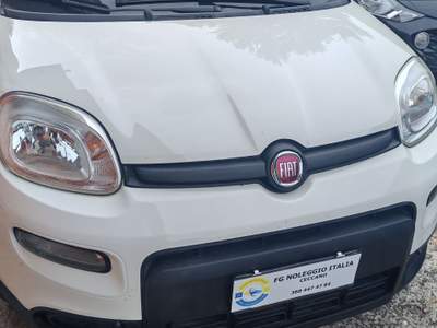 Fiat Panda 🚗 Fiat Panda 1.0 FireFly 70 CV Mild Hybrid Bianco usata Giuliano di Roma