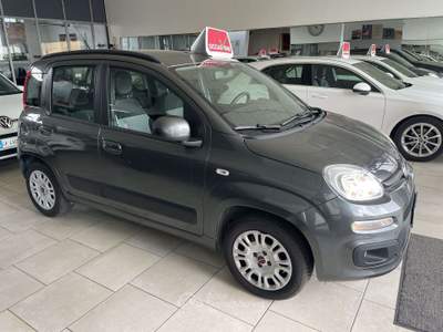 Fiat Panda Panda 1.2 Lounge - Nessun vincolo - Grigio usata COLOGNO MONZESE